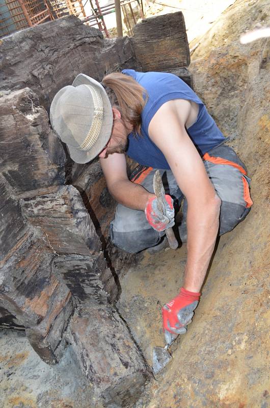 Archeologický záchranný výzkum u josefovského rybníku.