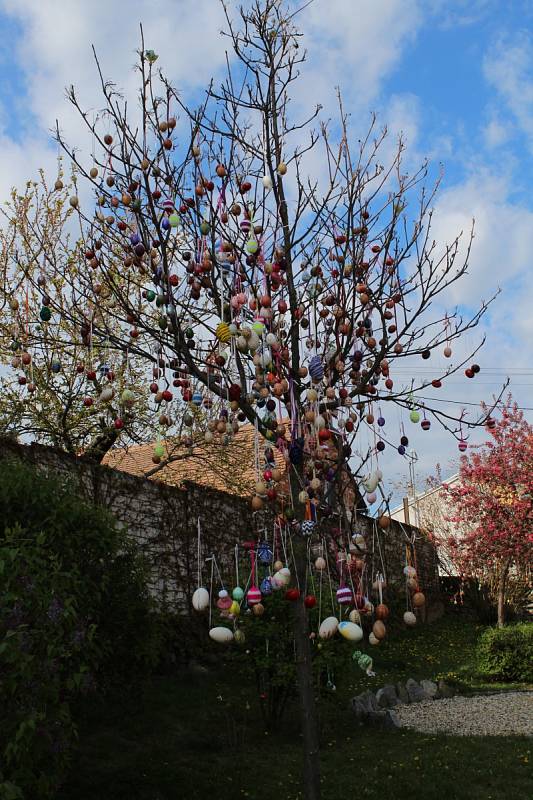 Velikonoční strom ve Starém Poddvorově.