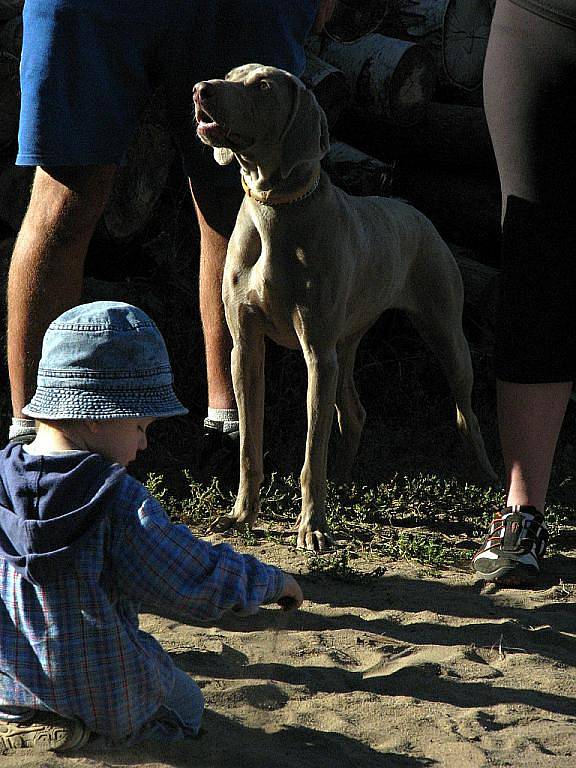 Psí soutěž Happy Dog Day 2011 v Bzenci.