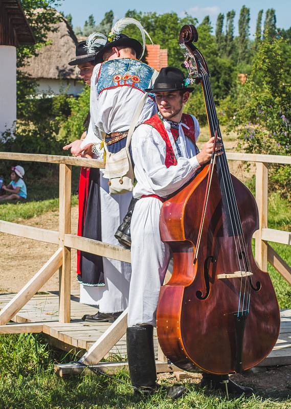 Pořad Já sa budu vydávati, který byl součástí Mezinárodního folklorního festivalu ve Strážnici. Soubory jej sehrály v areálu skanzenu.