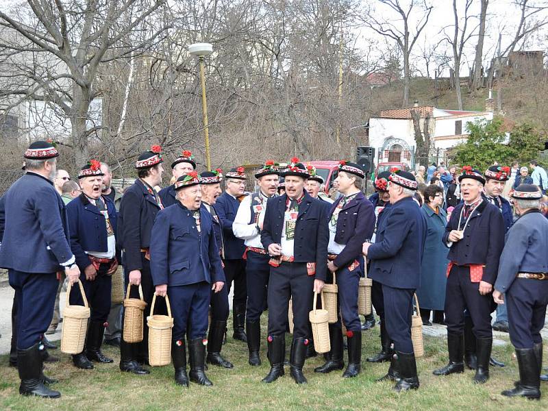 Tradiční, letos už sedmé otevírání vinných sklepů na Šištótě provázelo sluníčko i dešťové kapky. Sedm mužských sborů to ale neodradilo