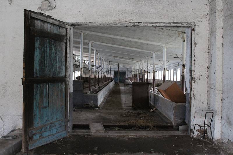 Chátrající kravín ve Svatobořicích-Mistříně čeká rekonstrukce za více než deset milionů korun.