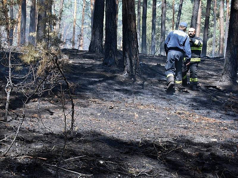 Požár lesa u Bzence na Kyjovsku - ilustrační foto.