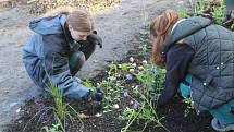 Soutěž mladých zahradníků Lipová ratolest v Hodoníně.