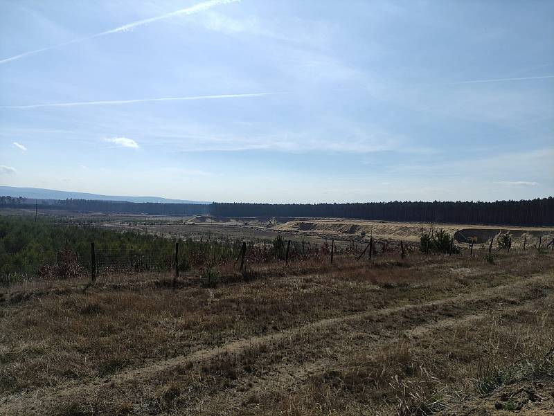 Moravská Sahara, jak se říká Národní přírodní památce Váté písky, je unikátním místem podél železniční trati mezi stanicemi Rohatec - Kolonie a Bzenec - Přívoz.