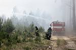 Požár zasáhl i nízké porosty borovic, které hoří rychleji než vzrostlé stromy.
