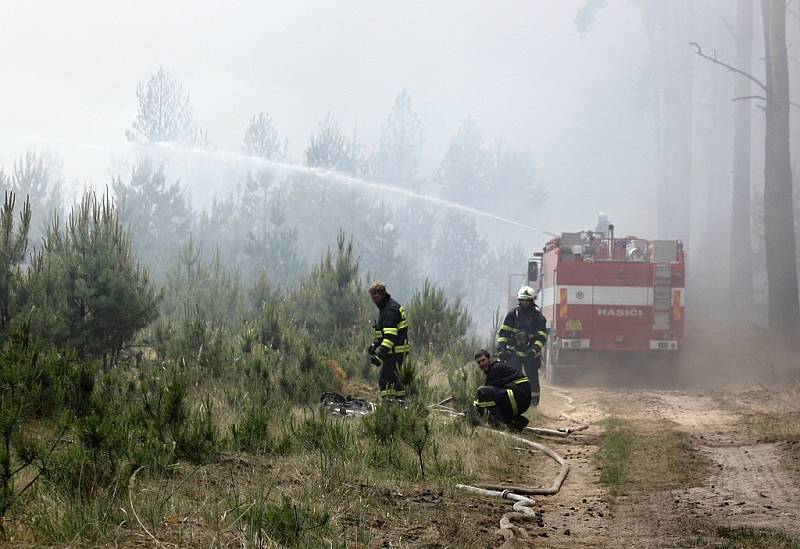 Požár zasáhl i nízké porosty borovic, které hoří rychleji než vzrostlé stromy.