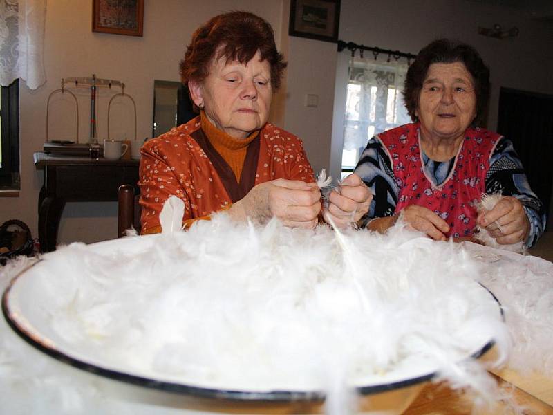 Ženy z Vacenovic se přes zimu vždy schází ve vacenovickém muzeu, kde derou peří.