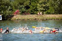Celkem se třetího ročníku veřejných plaveckých závodu na otevřené vodě s názvem Lužická míle zúčastnilo 103 mužů, žen a dětí.