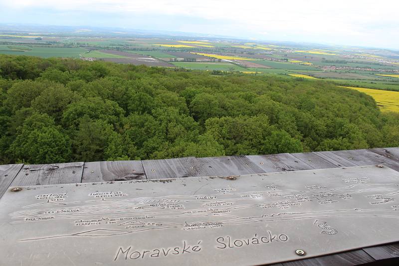 Rozhledna Travičná a výhledy z ní. Počet schodů 177, výška ochozu 34 metrů, výška rozhledny 52,6 metru.