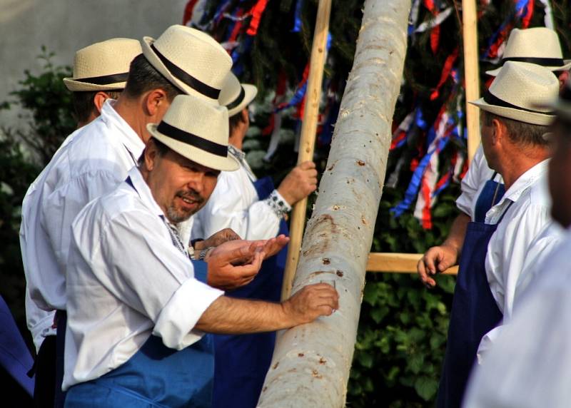 Soutěžní Festival Folklorních Souborů v Dambořicích 2014.