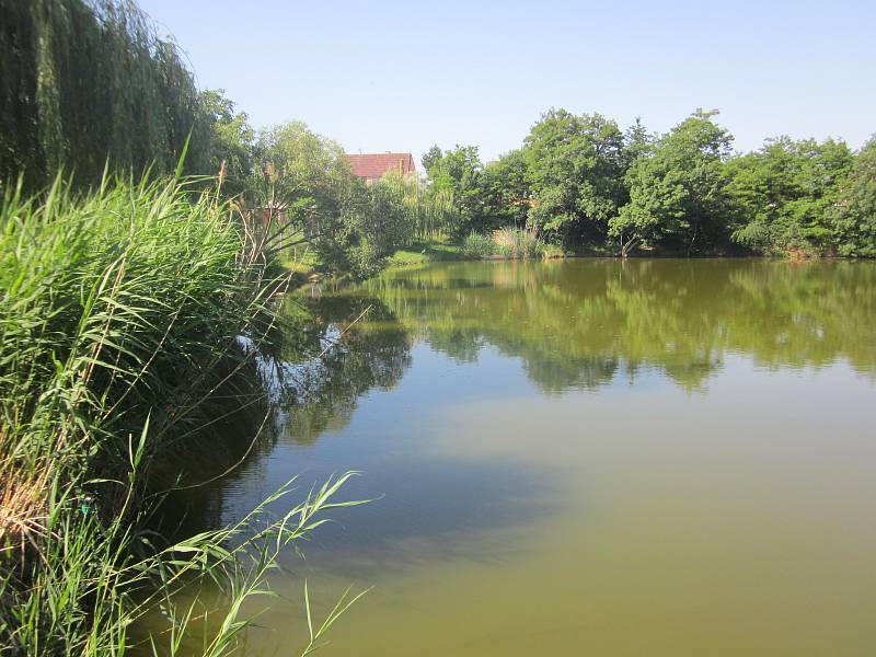 V Mikulčicích postaví nový vrt na pitnou vodu, hlubinná voda  je nesrovnatelně lepší, říkají. Vrty mají i v Hrušovanech nad Jevišovkou na Znojemsku nebo v Drnovicích na Blanensku.