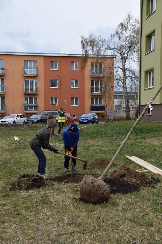 Bažantnici zaplnily nové stromy.