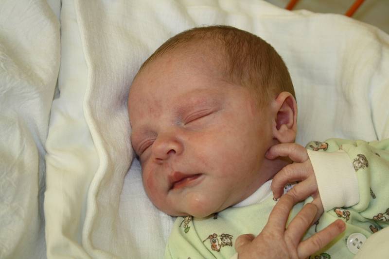 Karel Pavlík, 10. března 2016, 54 cm, 3,52 kg, Čejkovice