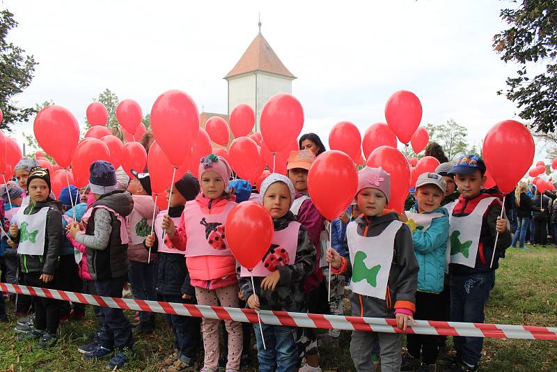 Vytvořit největší státní vlajku České republiky z nafouknutých balónků se pokusili děti i dospělí v parku v ulici Újezd v Kyjově.
