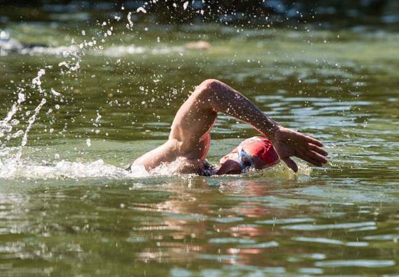 Celkem se třetího ročníku veřejných plaveckých závodu na otevřené vodě s názvem Lužická míle zúčastnilo 103 mužů, žen a dětí.