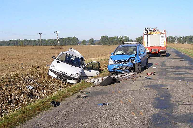 Pětadvacetiletá řidička dnes zemřela po ranní nehodě na silnic mezi Lužicemi a Dolními Bojanovicemi na Hodonínsku.