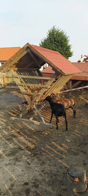 Bukovany se nachází nedaleko města Kyjov.