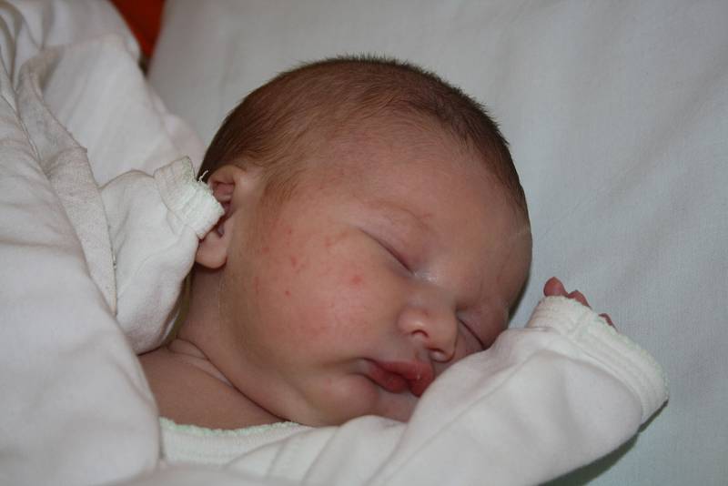 Tibor Zajíc, 25. března 2016, 49 cm, 3,16 kg, Milotice