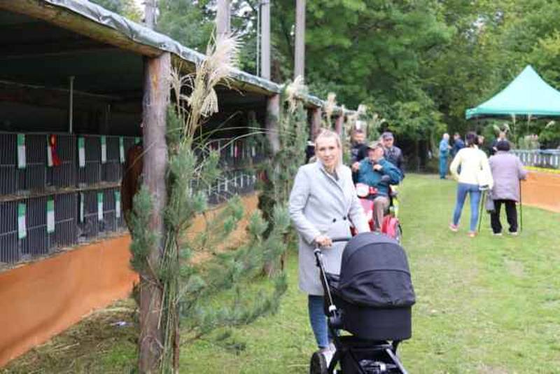 Výstava drobného zvířectva láká návštěvníky na přehlídku hospodářských zvířat i domácích mazlíčků.