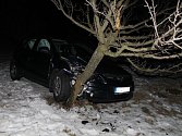 Kvůli námraze skončila žena s autem ve stromě.