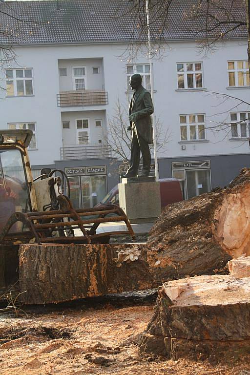 Úklid pokácené šedesátileté vrby v Hodoníně.