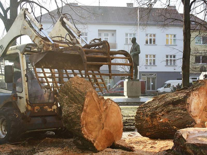 Úklid pokácené šedesátileté vrby v Hodoníně.