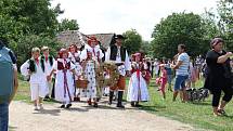 Dožínky ve skanzenu jsou ve Strážnici již tradiční folklorní akcí.