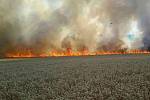 Požár u Radějova zničil pole obilí na ploše 15 hektarů.