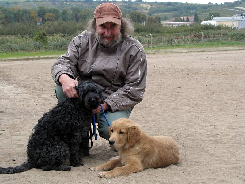 Happy dogs day (Šťastný psí den) ve Bzenci.