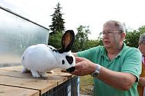 Třetí oblastní, třináctá okresní výstava mladých chovatelů a místní výstava králíků, drůbeže, holubů a exotů se konala v Kyjově v roce 2017.