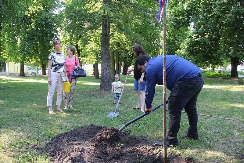 Výsadba obecního stromu v Čejči k 800 letům od první písemné zmínky o obci.