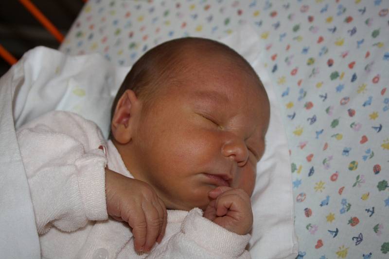 Sebastian Kalný, 2.10.2015, 54 cm, 4,26 kg, Šardice