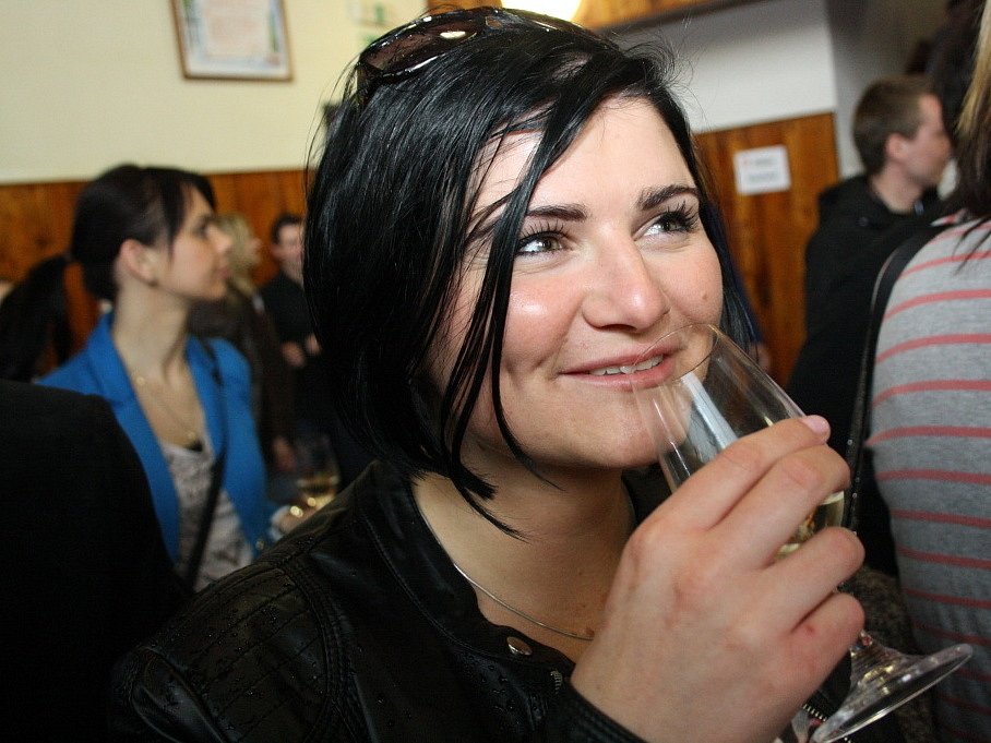 Hodonínský deník | Bukovany, Dubňany, Lužice. Hodonínsko o víkendu ožilo  košty vín | fotogalerie