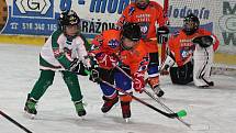 O víkendu se na Zimním stadionu Václava Nedomanského uskutečnil dvoudenní turnaj hráčů ročníku 2008 a 2009 v ledním hokeji. O vítězství na Asalonta Cupu se utkalo šestnáct družstev.