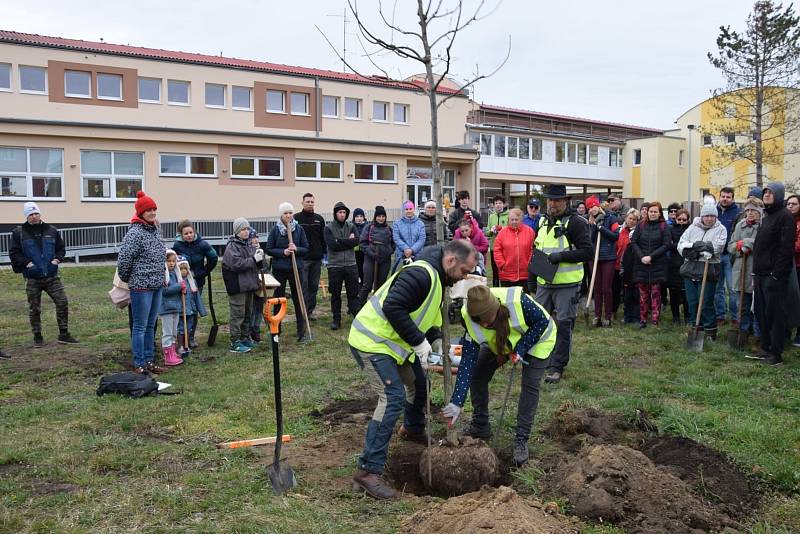 Bažantnici zaplnily nové stromy.