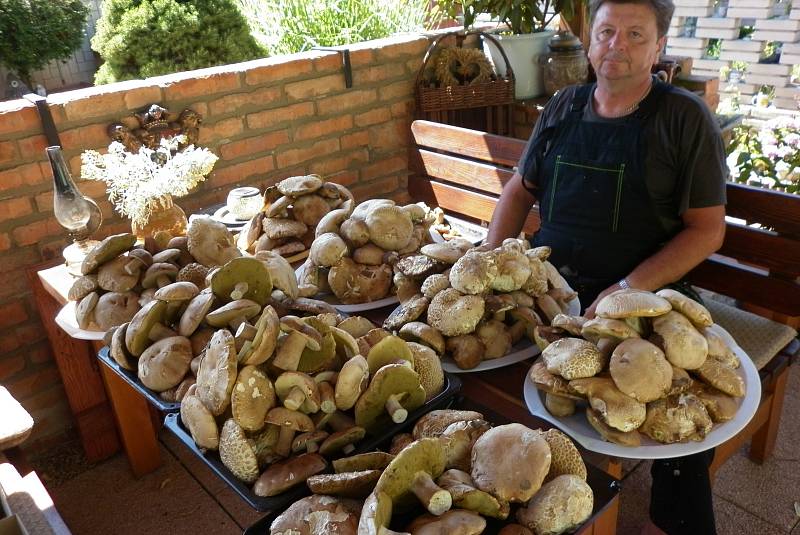 Třiatřicet kilo hub našel v týdnu v lese u Mutěnic Miloslav Belka z Mikulčic.