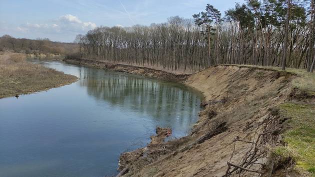 Moravská Sahara, jak se říká Národní přírodní památce Váté písky, je unikátním místem podél železniční trati mezi stanicemi Rohatec - Kolonie a Bzenec - Přívoz.