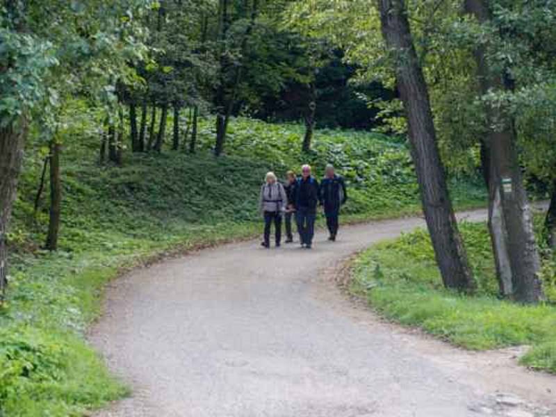 Turisté z Vřesovic vyrazili na výšlap podzimní přírodou.