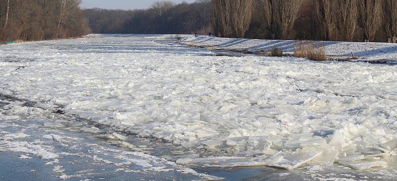Řeka Morava u Hodonína v pondělí krátce po čtrnácté hodině.