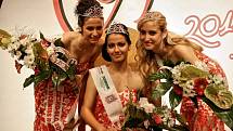 O titul Miss Roma 2014 se v Hodoníně ucházelo dvanáct dívek z České i Slovenské republiky.