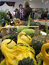 Výstava ovoce a zeleniny v Kozojídkách.
