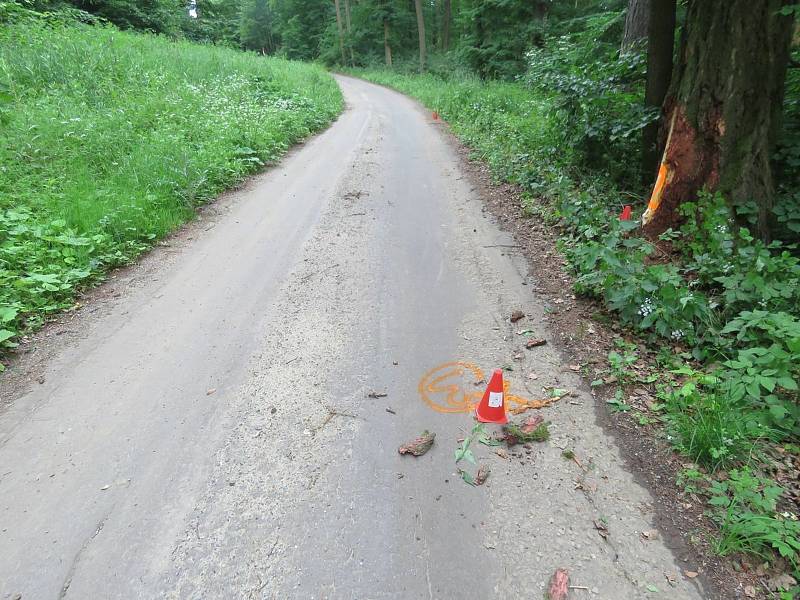 Opilý řidič boural do stromu na lesní cestě u Ždánic.