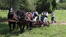 Dožínky ve skanzenu jsou ve Strážnici již tradiční folklorní akcí.