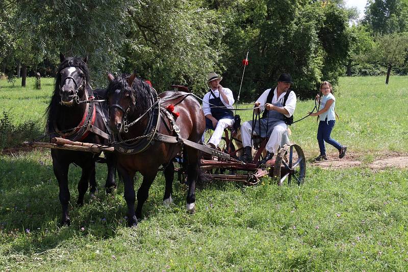 Dožínky ve skanzenu jsou ve Strážnici již tradiční folklorní akcí.