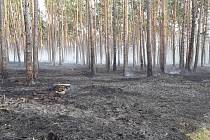 Požár lesa poblíž Vracova.