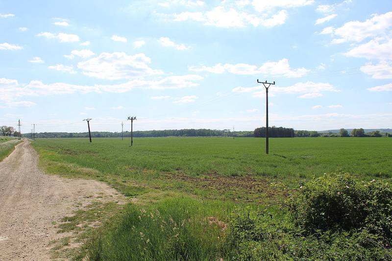 Lokalita mezi Moravským Pískem a Uherským Ostrohem, kde se plánuje těžba štěrkopísku.