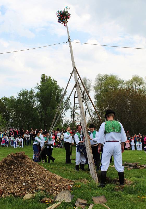 Tradičním stavěním máje a folklorním programem odstartovala nová návštěvnická sezona ve strážnickém skanzenu.