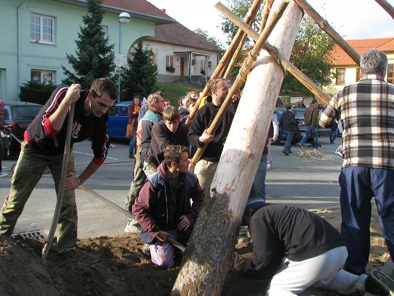 Vacenovičtí staví na návsi máju.