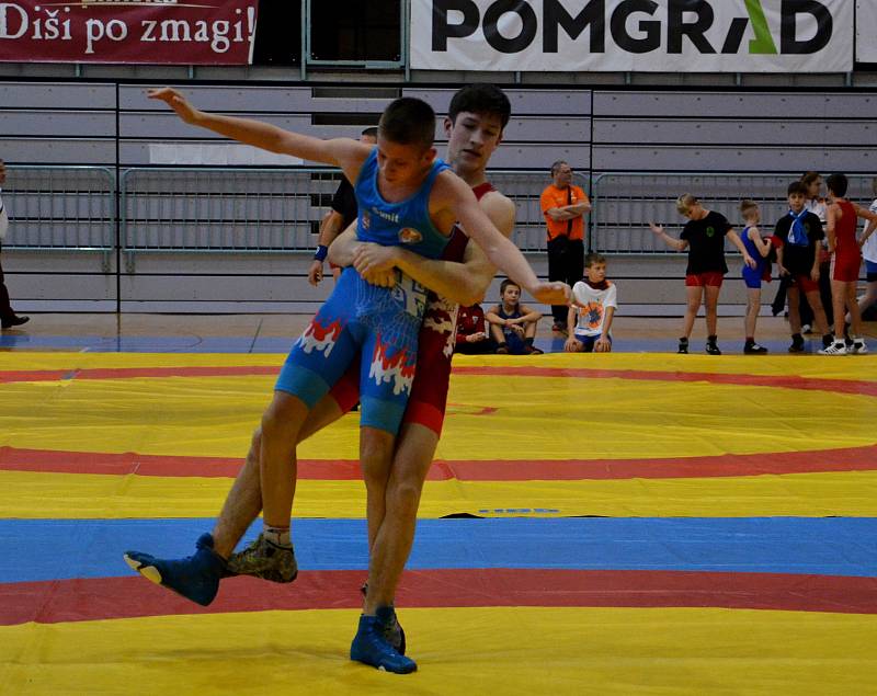 Hodonínští zápasníci se na úvod druhé poloviny soutěžní sezony prosadili v Srbsku i na Slovensku. Na snímku Dominik Kubeš (v červeném dresu).
